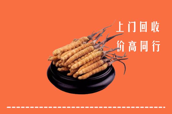 高价求购：故城县回收散虫草