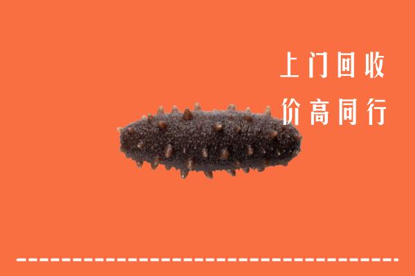高价求购：故城县回收海参