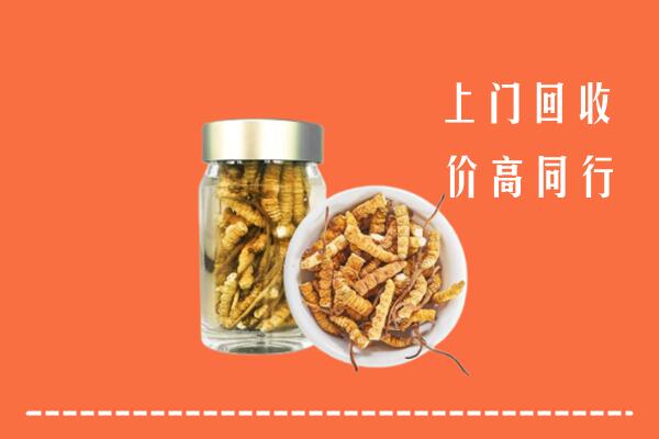 故城县回收冬虫夏草