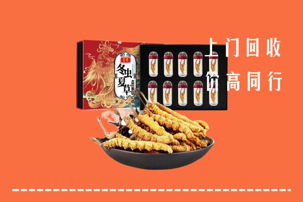 故城县回收虫草